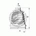 Ansamblu burduf, articulatie planetara QUINTON HAZELL (cod 1378990)