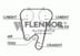 Curea de distributie FLENNOR (cod 2336644)