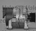 Generator / Alternator VALEO (cod 997768)